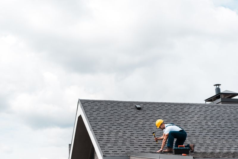 Asphalt Shingles Cleaning