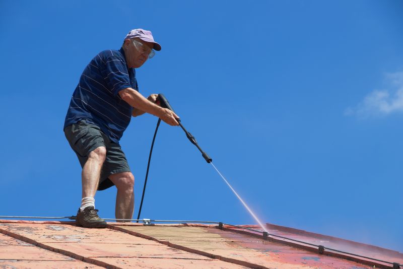Metal Roof Cleaning