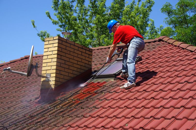 Roof Mildew Removal