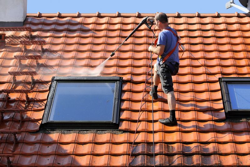 Tile Roof Cleaning