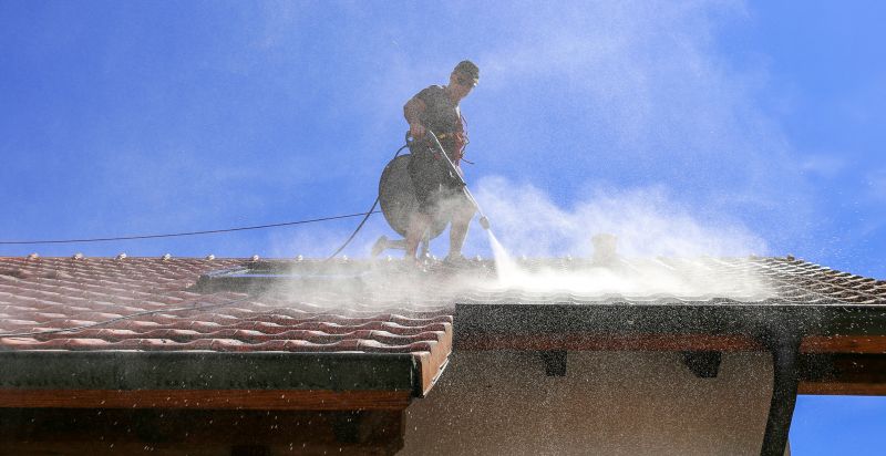 Tile Roof Cleaning