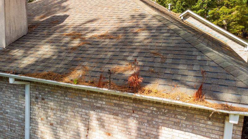 Roof Pine Needle Removal detail
