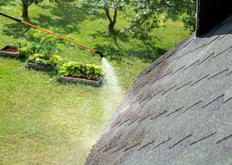 Roof Algae Removal
